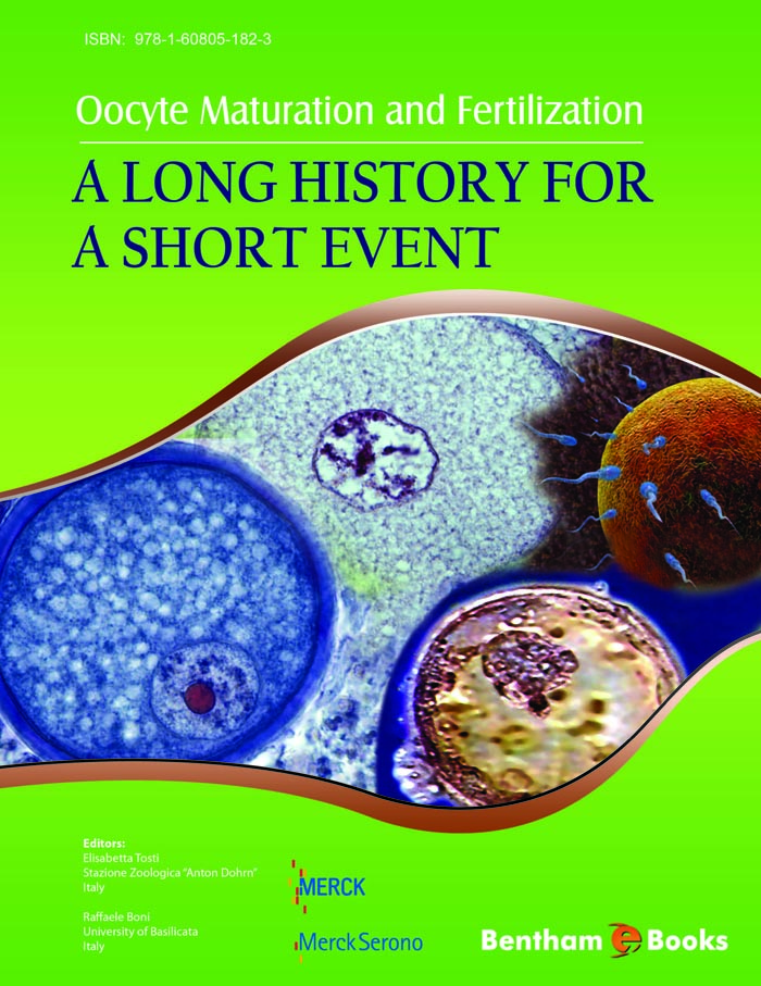 image of Oocyte Maturation and Fertilization: A Long History for a Short Event