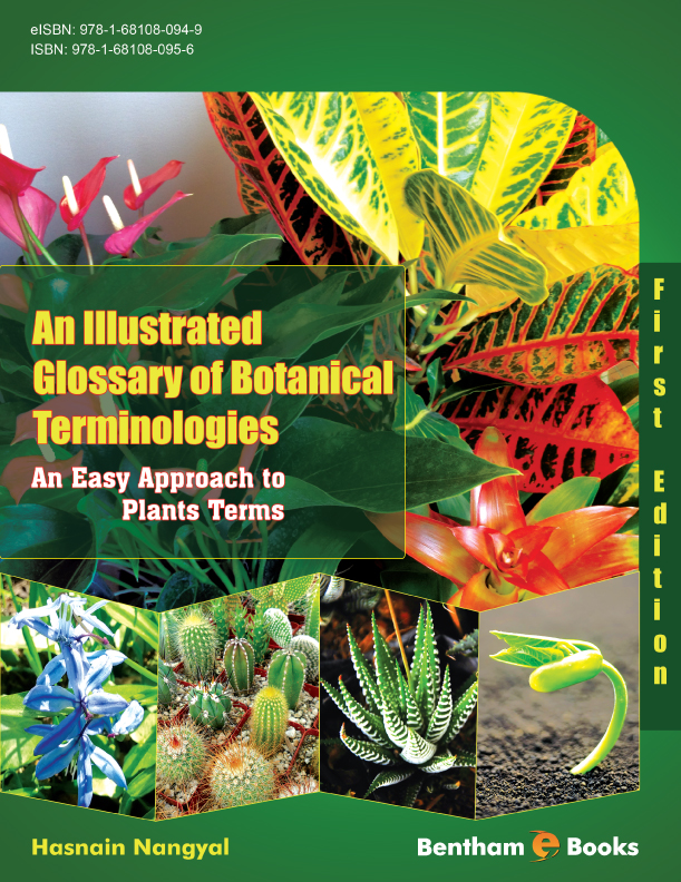 An Illustrated Glossary of Botanical Terminologies (An Easy Approach to Plants Terms) An Illustrated Glossary of Botanical Terminologies (An Easy Approach to Plants Terms)