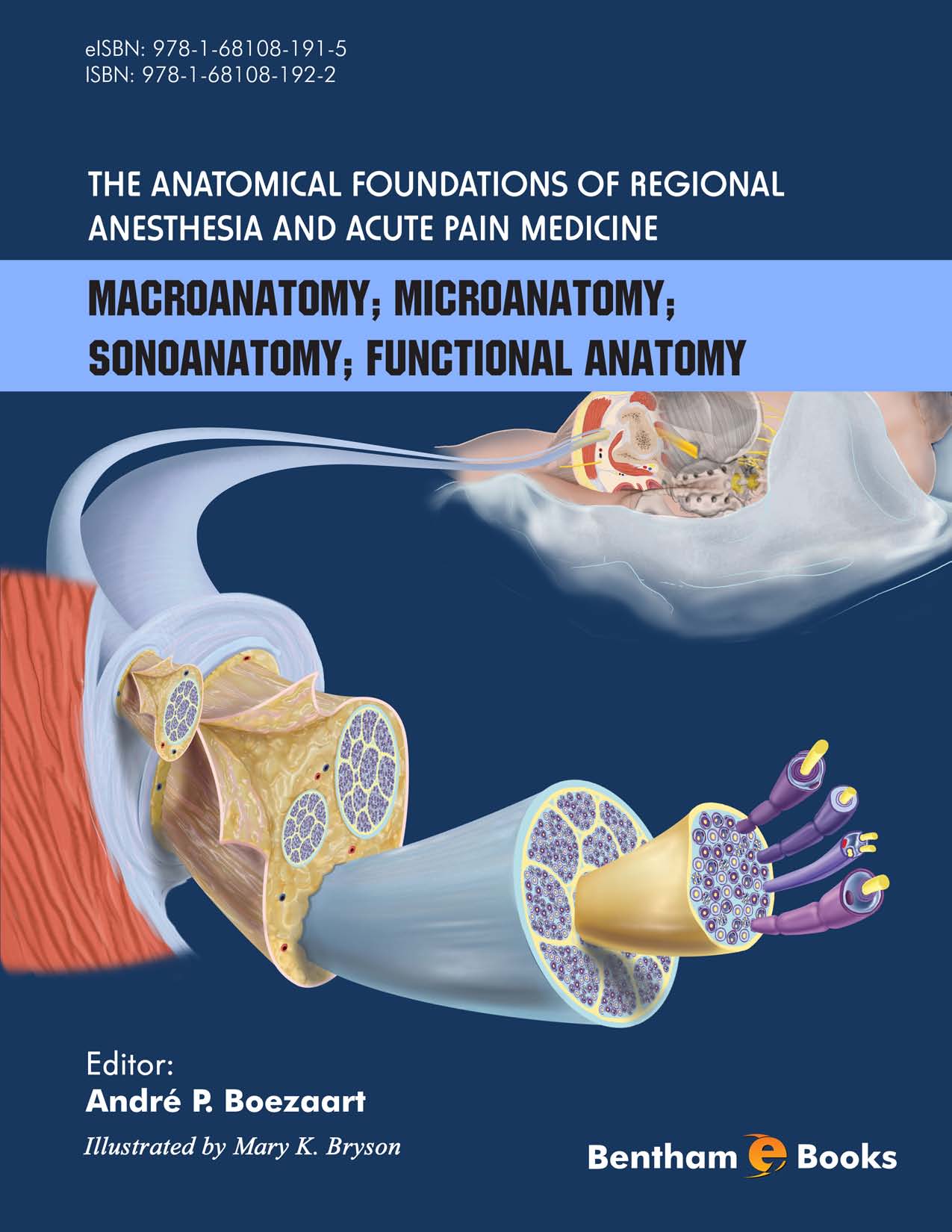 The Anatomical Foundations of Regional Anesthesia and Acute Pain Medicine Macroanatomy Microanatomy Sonoanatomy Functional anatomy