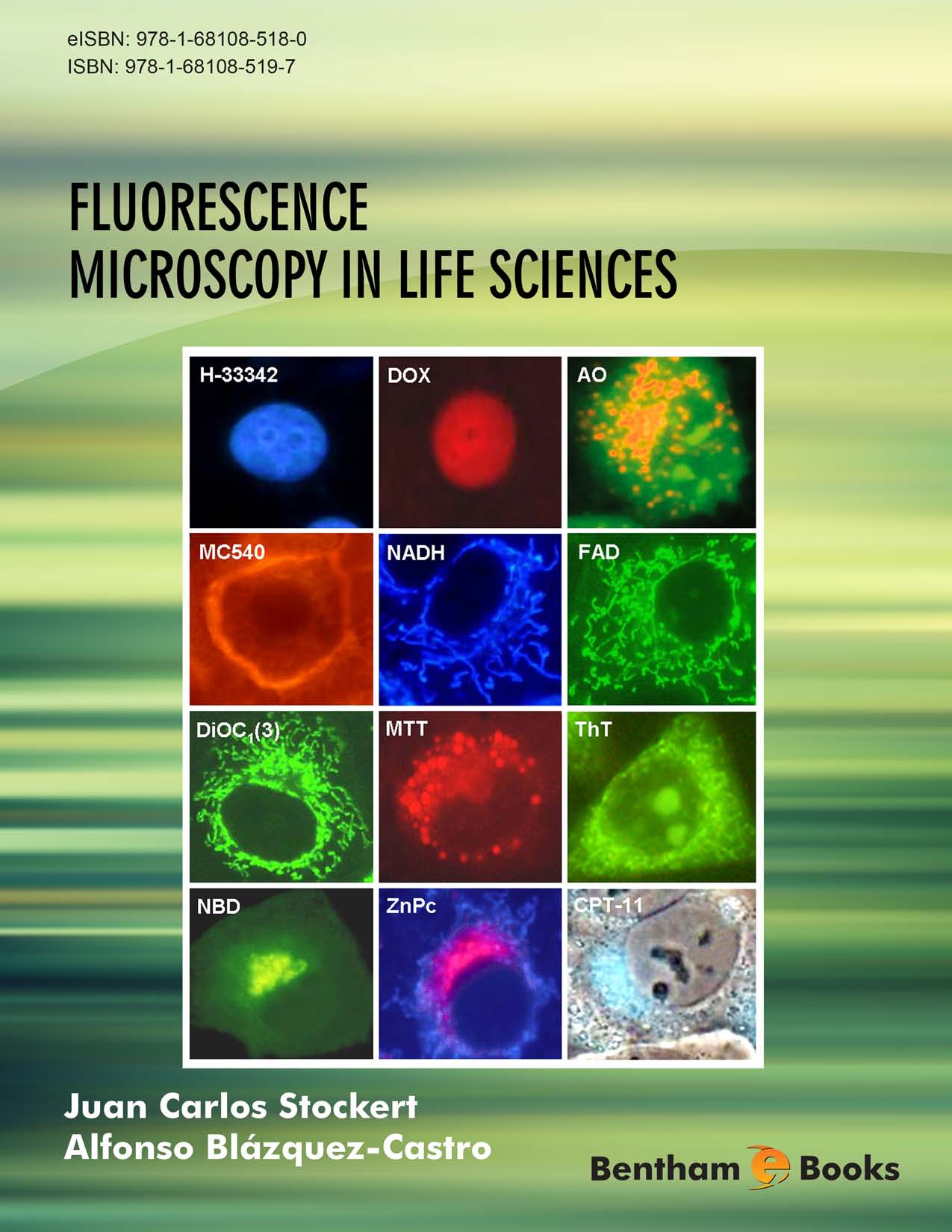 image of Fluorescence Microscopy in Life Sciences