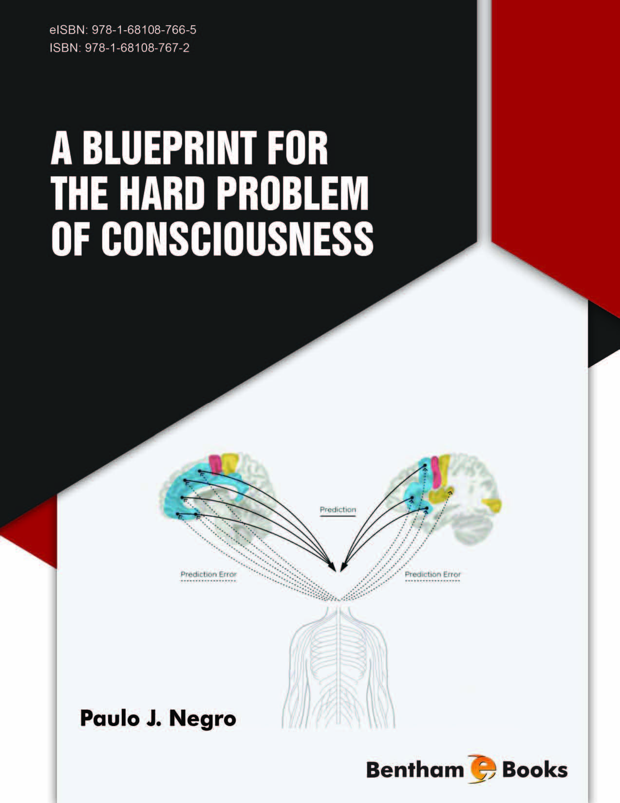 image of A Blueprint for the Hard Problem of Consciousness