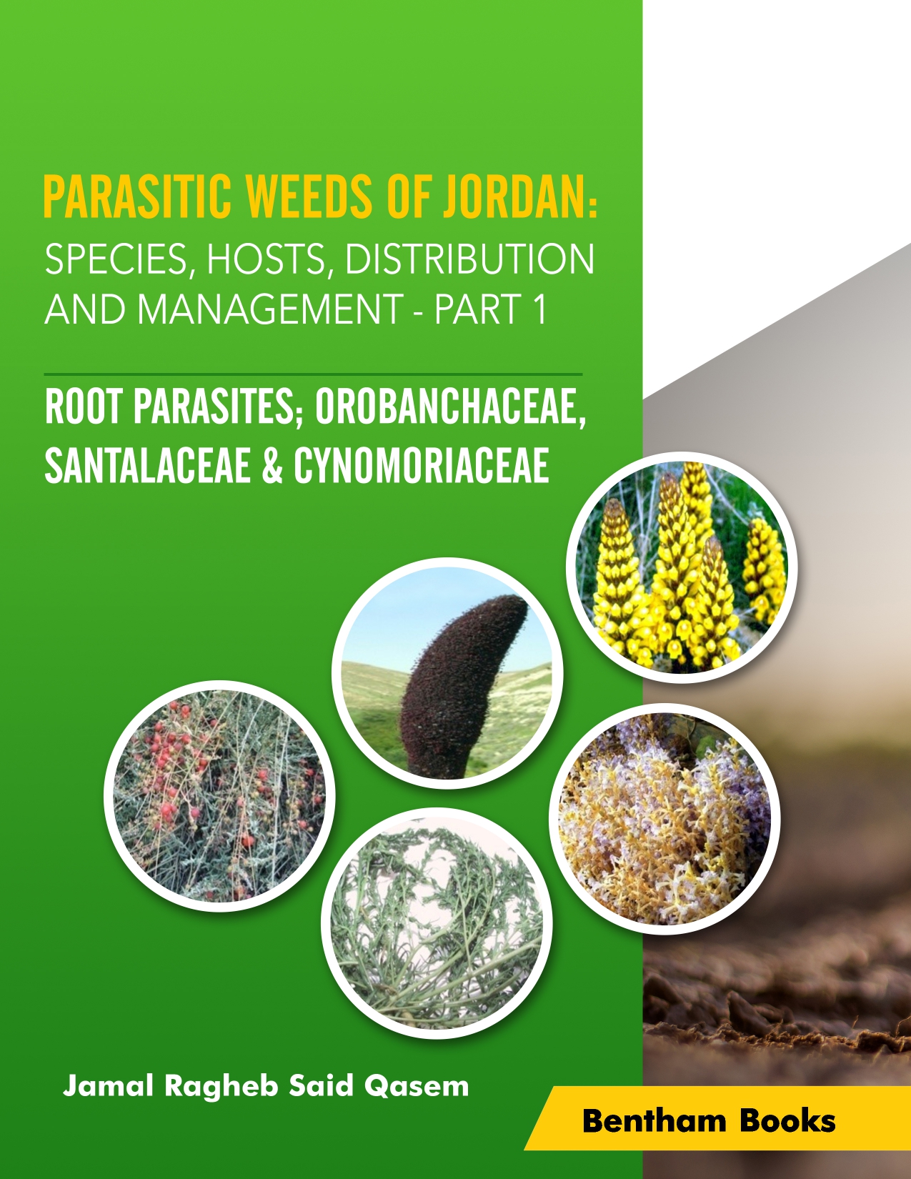 image of Parasitic Weeds of Jordan: Species, Hosts, Distribution and Management - Part I: Root Parasites; Orobanchaceae, Santalaceae & Cynomoryaceae