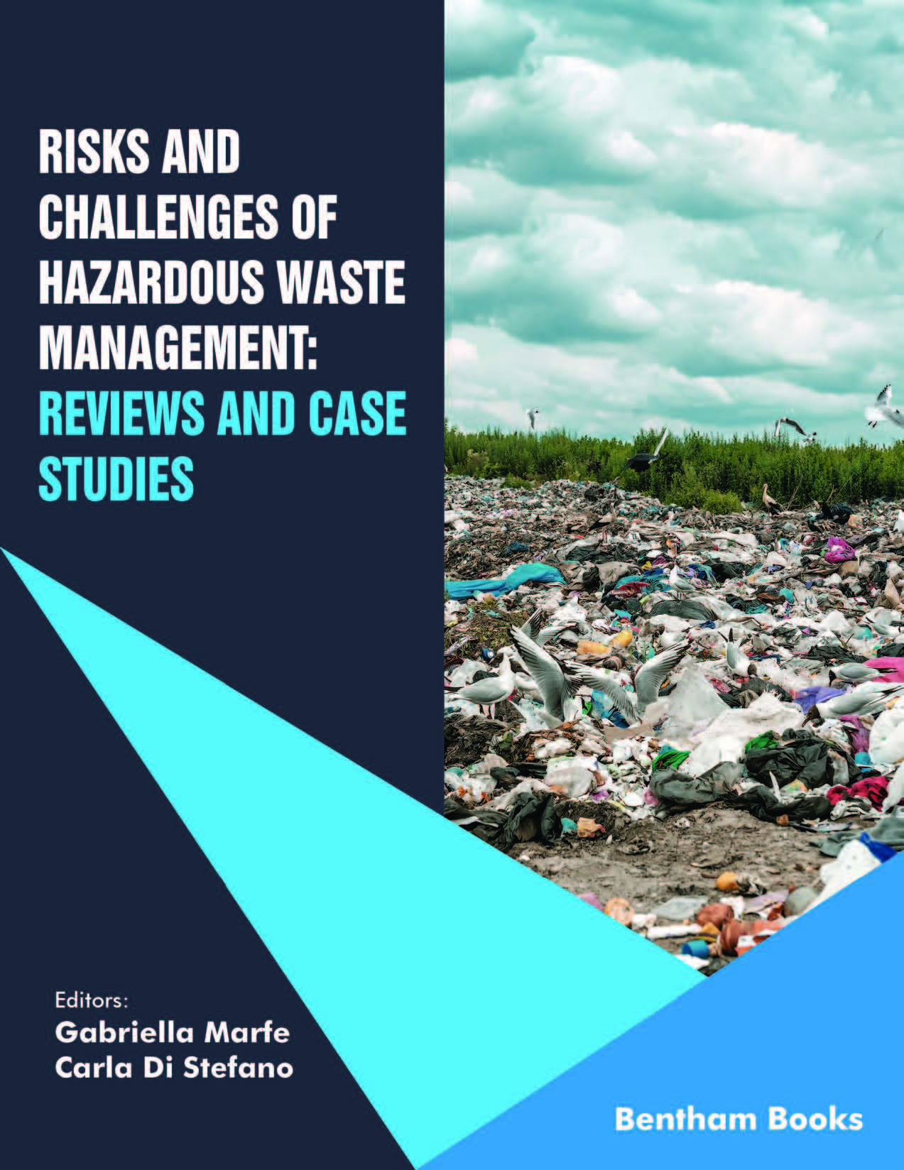 image of Risks and Challenges of Hazardous Waste Management: Reviews and Case Studies