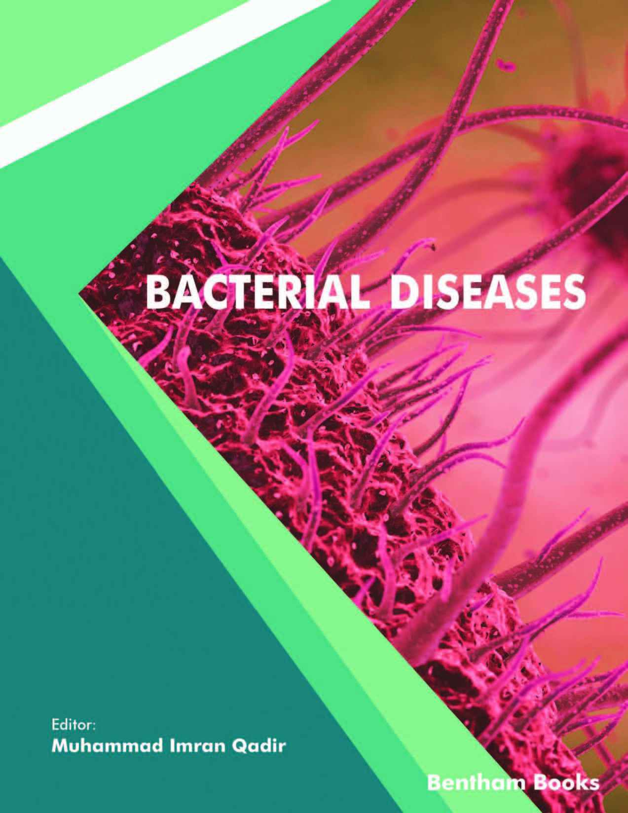 image of Bacterial Diseases