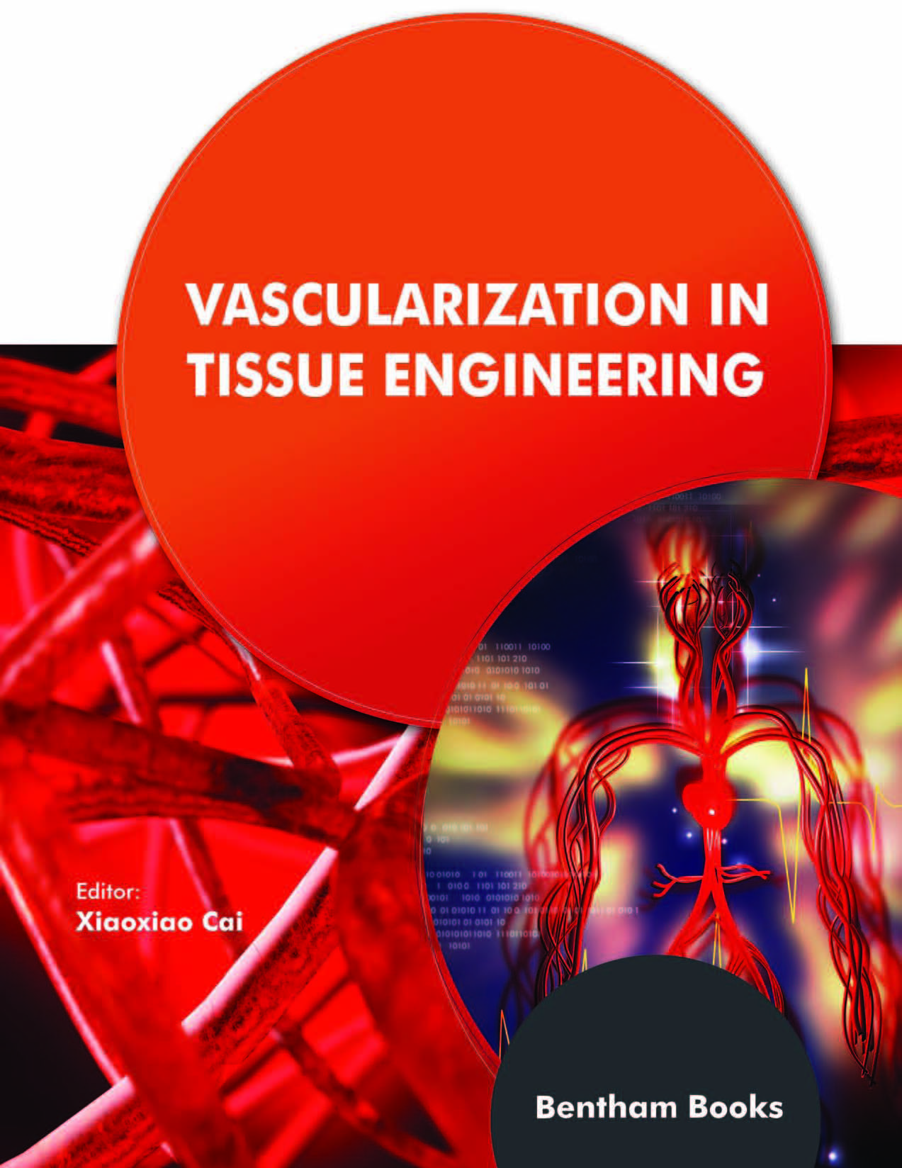 image of Vascularization in Tissue Engineering