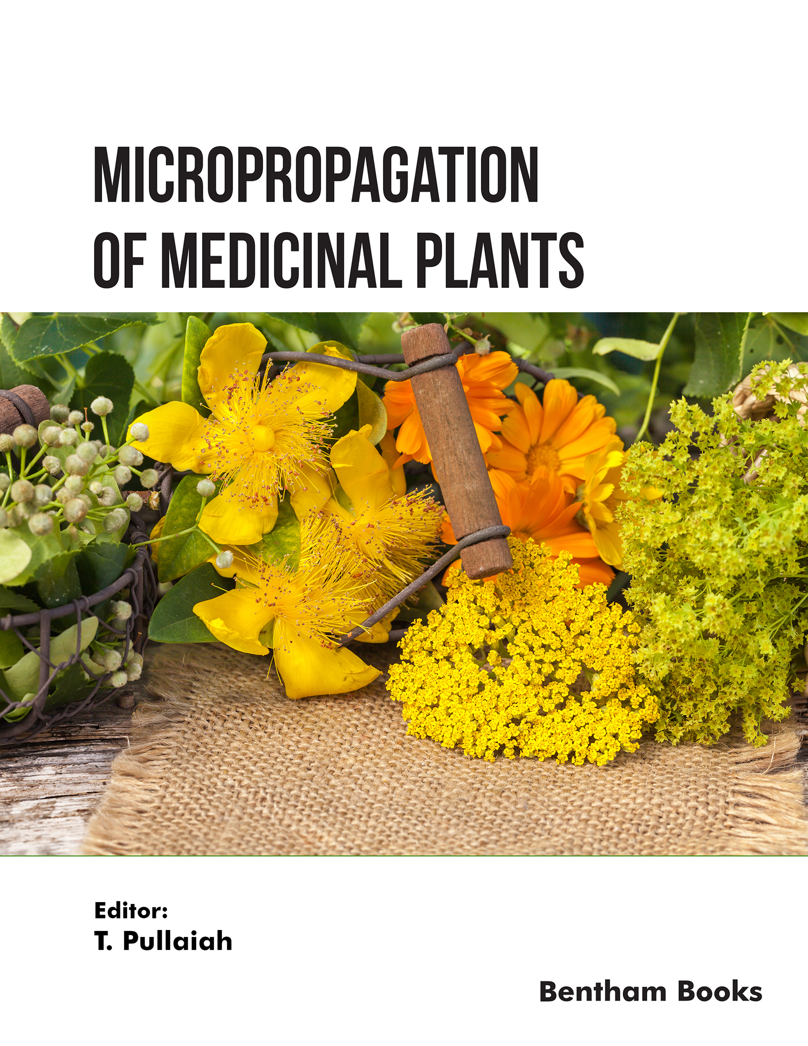 image of Micropropagation of Medicinal Plants