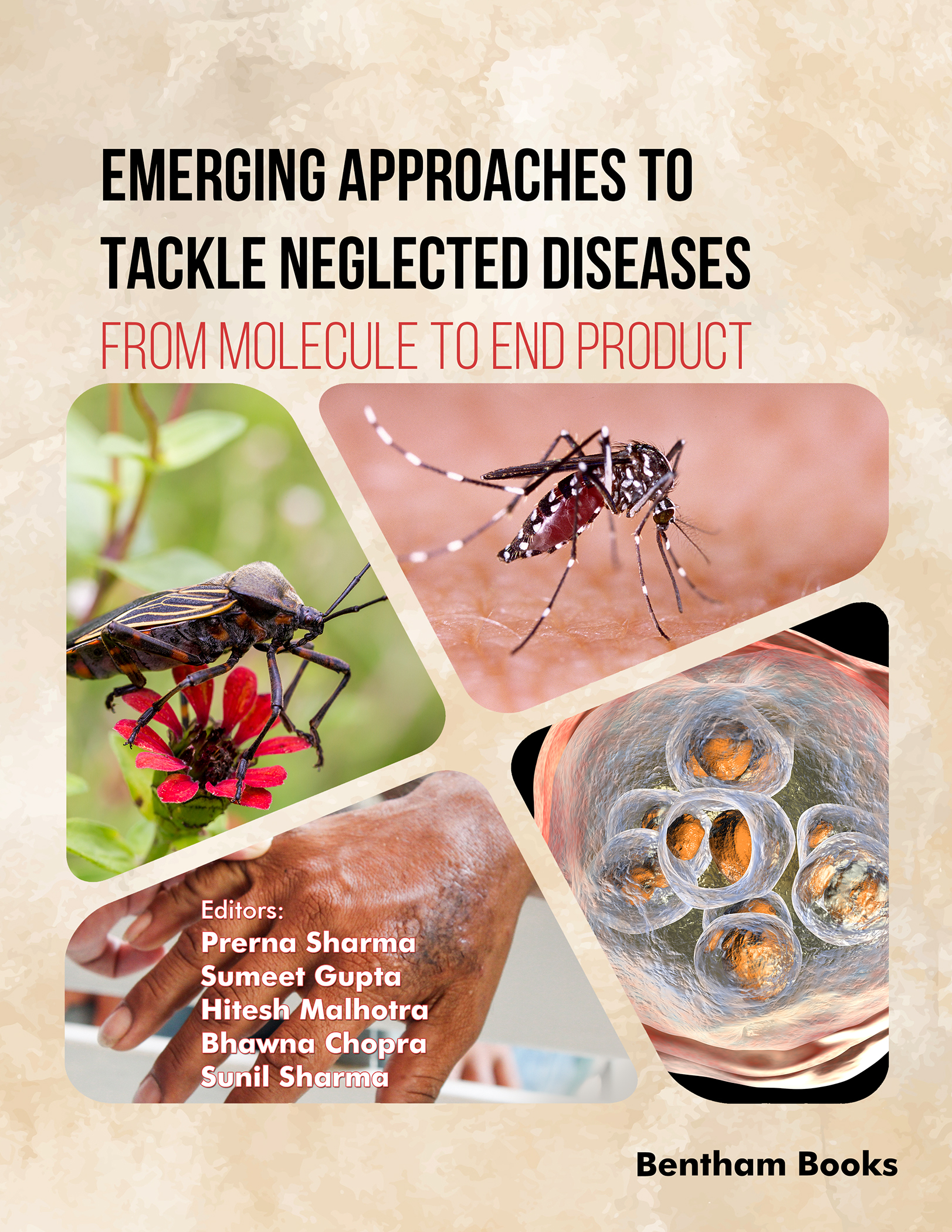 image of Emerging Approaches to Tackle Neglected Diseases: From Molecule to End Product