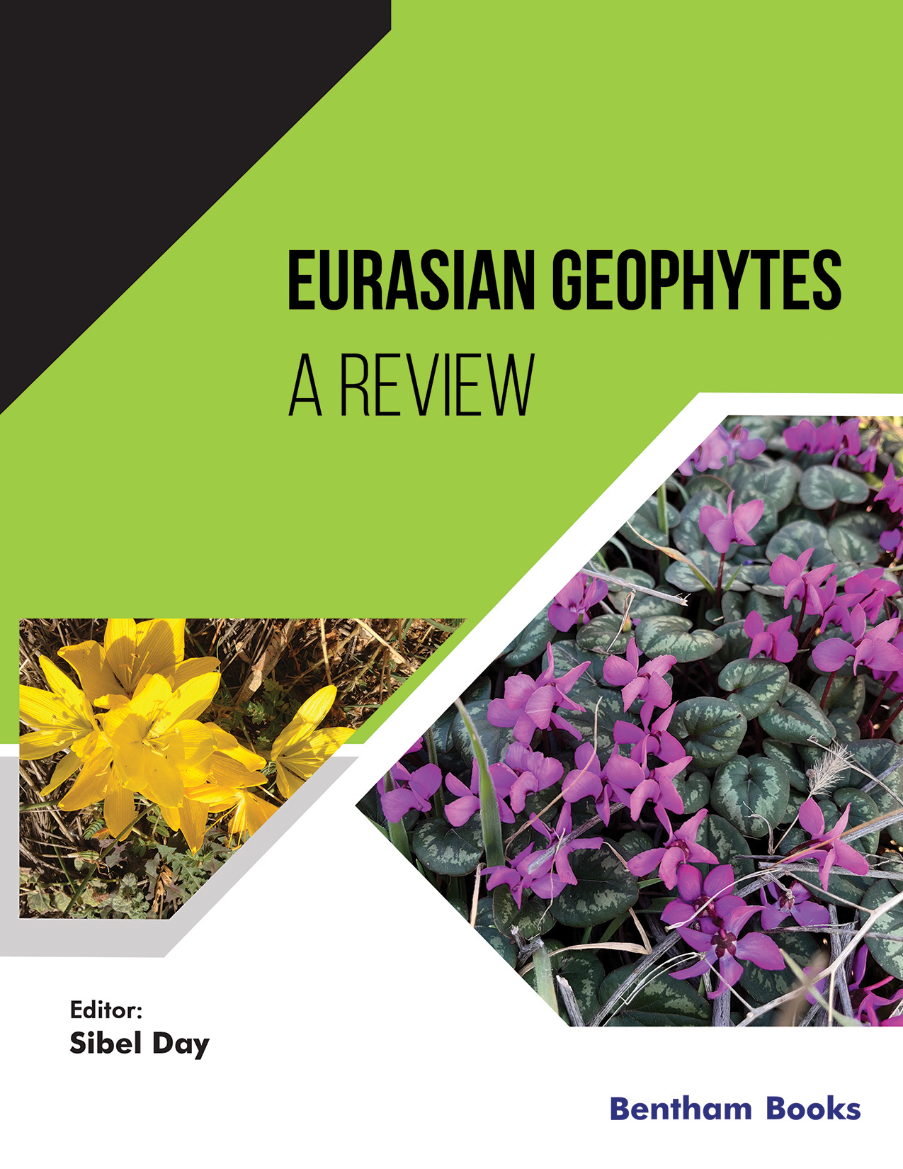Eurasian Geophytes: A Review Eurasian Geophytes: A Review